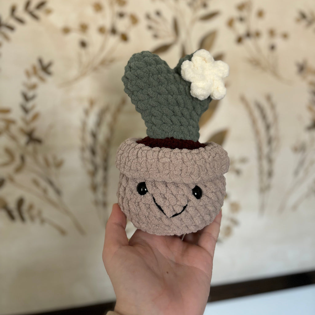Crocheted Plants