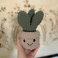 Crocheted Plants