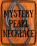 Sterling NP Mystery 20 Inch Necklace