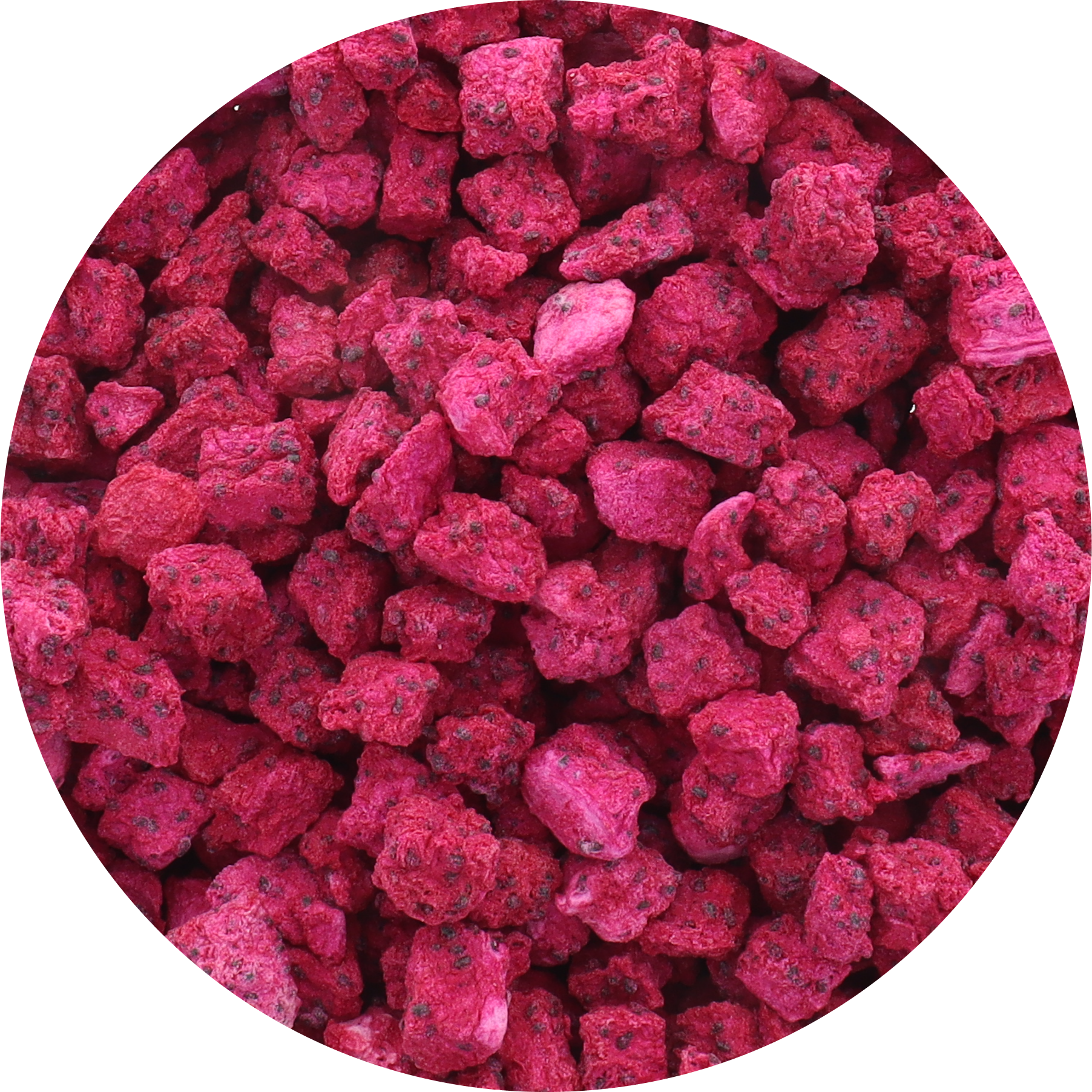 Freeze Dried Organic Red Dragon Fruit