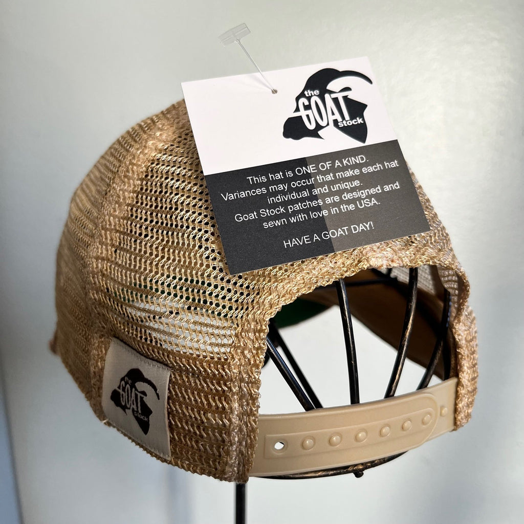 Lake Life distressed snapback mesh hat