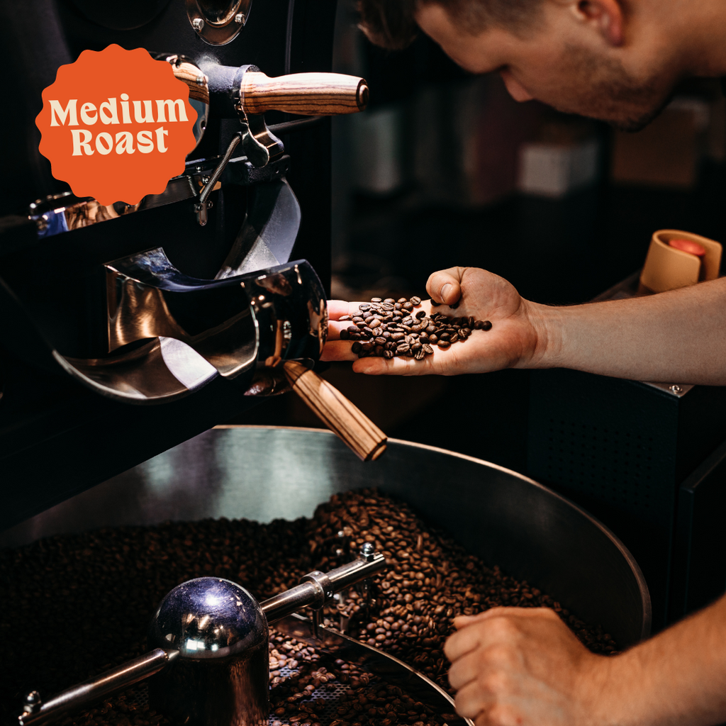Three Bears | Signature Decaf Blend | Colombia & Mexico | Naturally Decaffeinated