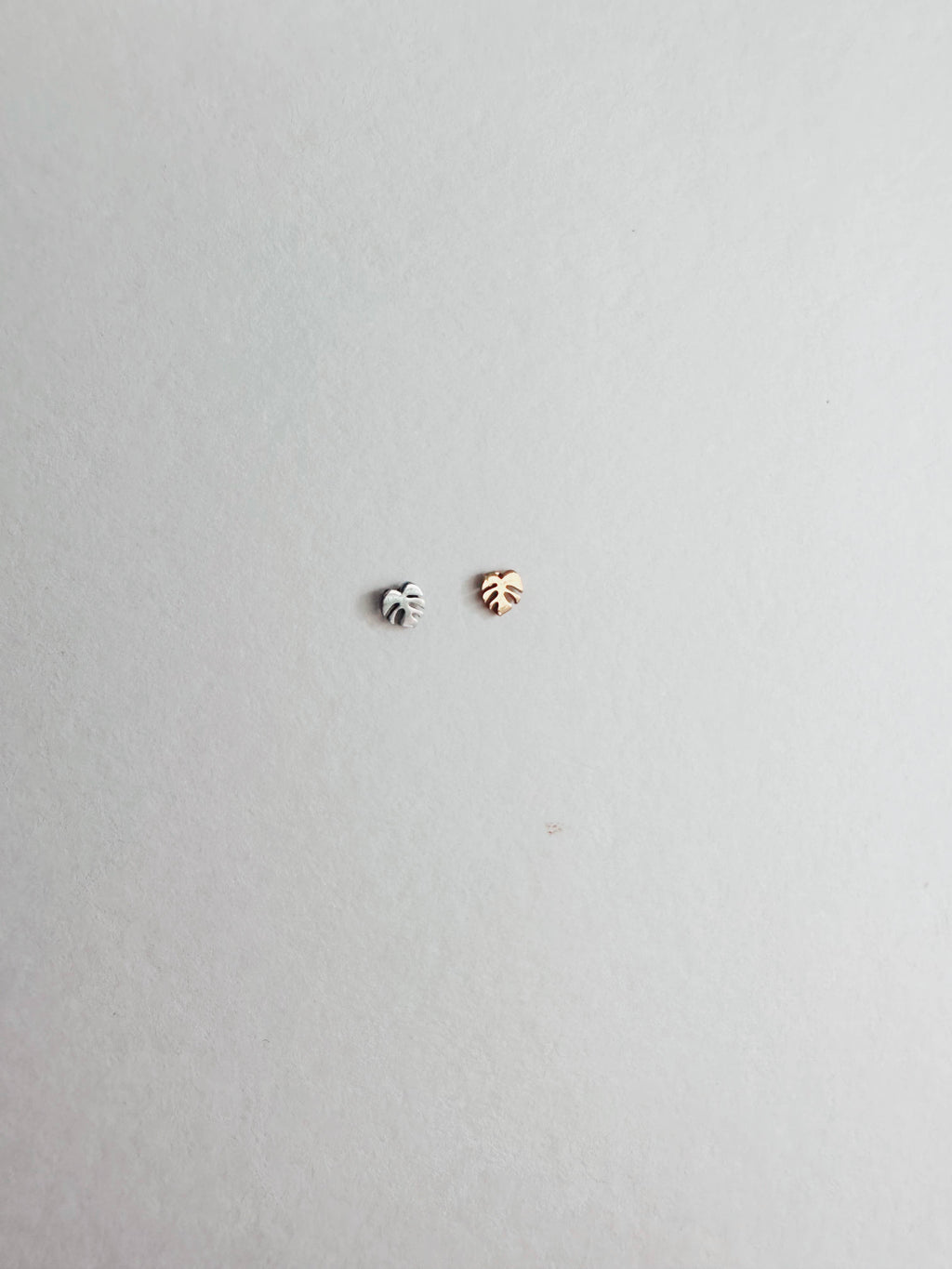 Flat Back Teeny Tiny Monstera Deliciosa Plant Studs